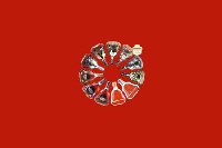 赣州市崇义县回收红酒